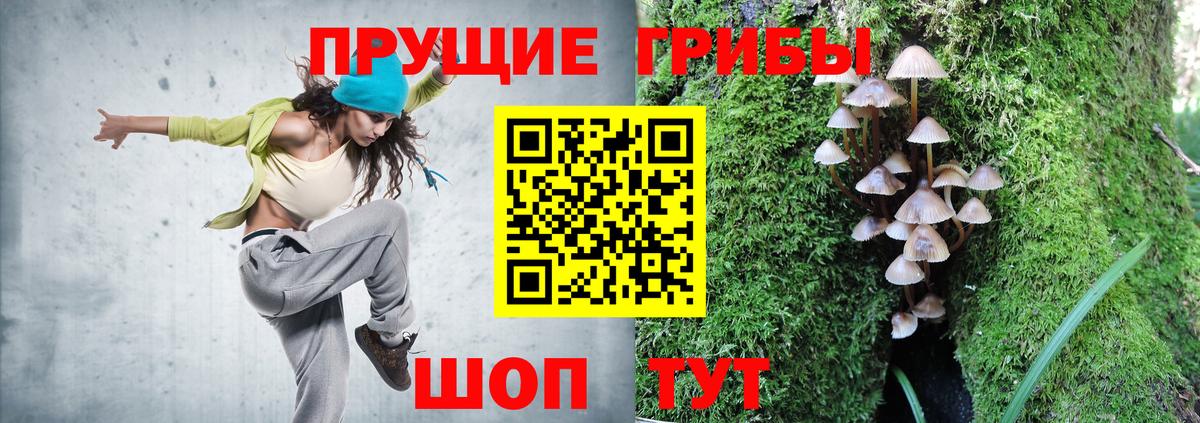 Псилоцибиновые грибы GOLDEN TEACHER Псков