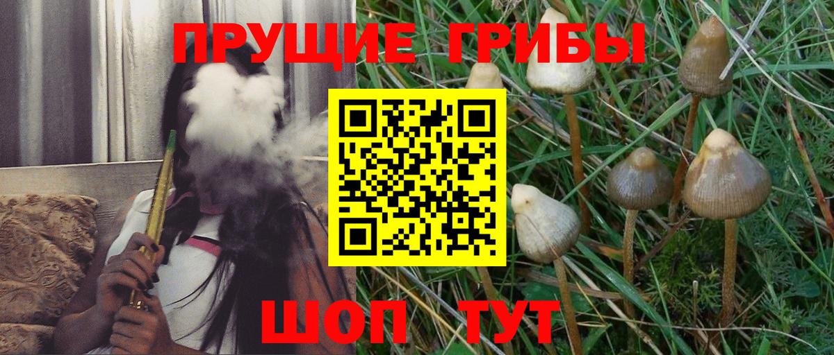Псилоцибиновые грибы Psilocybe  наркошоп  Псков  Вход с VPN 